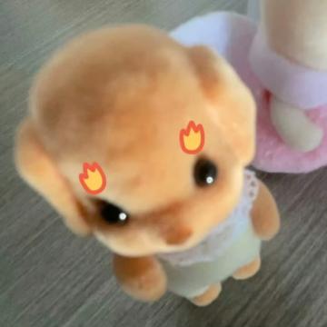 ̆T