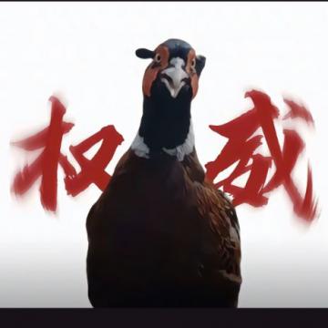 ̆T