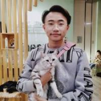 楊教員