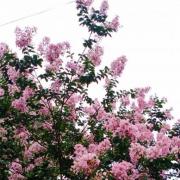 英語提升