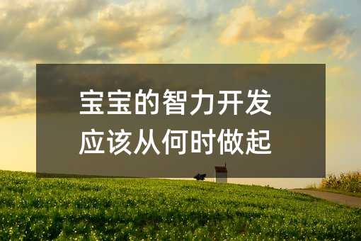 寶寶的智力開(kāi)發(fā)應(yīng)該從何時(shí)做起
