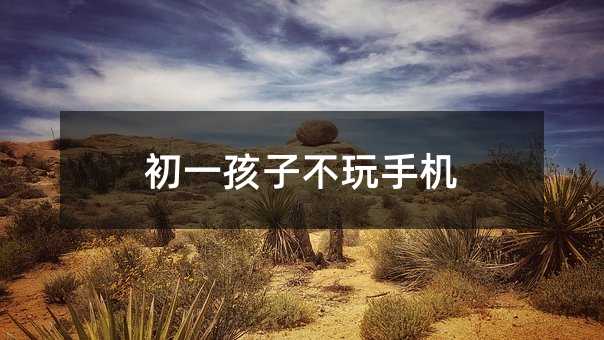 初一孩子不玩手機(jī)