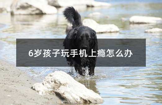 6歲孩子玩手機上癮怎么辦