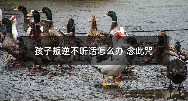 �������治 Ԓ��ô�k �����