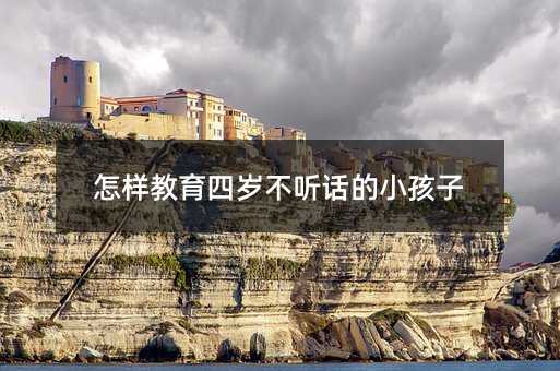 怎樣教育四歲不聽(tīng)話(huà)的小孩子