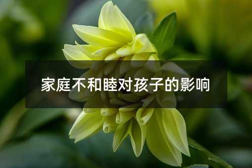 ͥӵӰ
