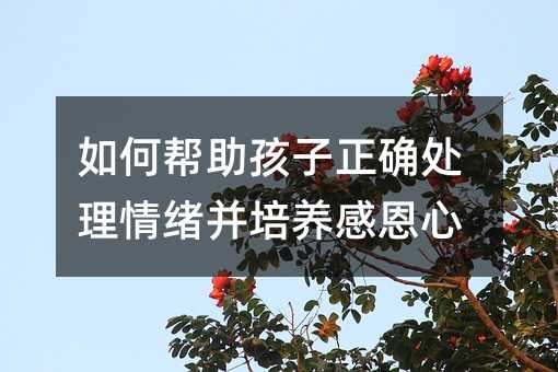如何幫助孩子正確處理情緒并培養感恩心