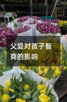 父愛(ài)對(duì)孩子智商的影響