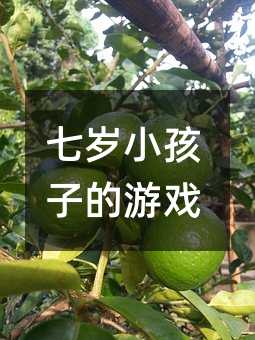 七歲小孩子的游戲