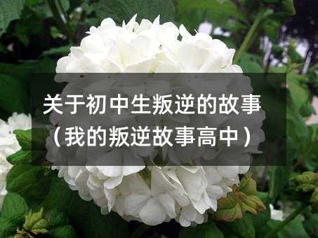 關于初中生叛逆的故事(我的叛逆故事高中)
