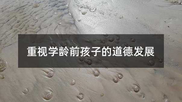 ҕWgǰӵĵ°lչ