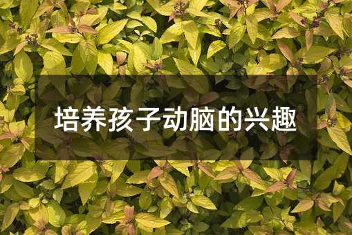 培養(yǎng)孩子動(dòng)腦的興趣