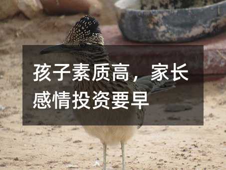 孩子素質高,家長感情投資要早