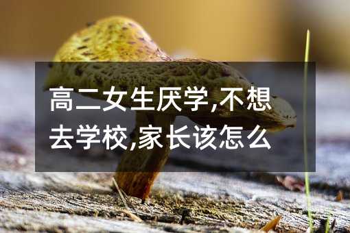 高二女生厭學(xué),不想去學(xué)校,家長(zhǎng)該怎么做
