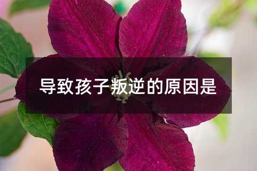 導致孩子叛逆的原因是