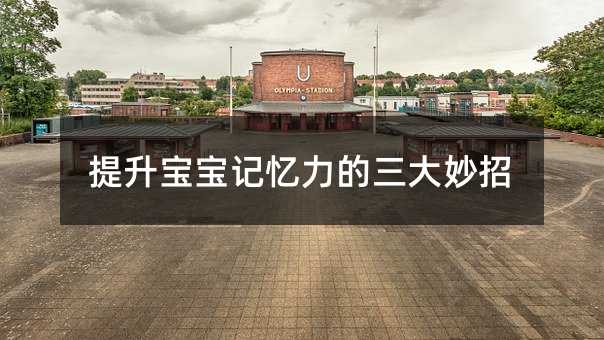 提升寶寶記憶力的三大妙招
