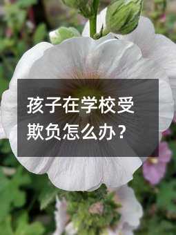 孩子在學(xué)校受欺負(fù)怎么辦?