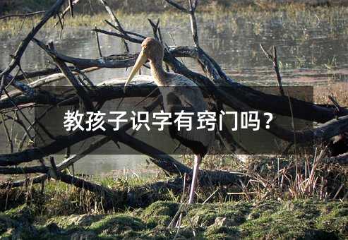 教孩子識字有竅門嗎?