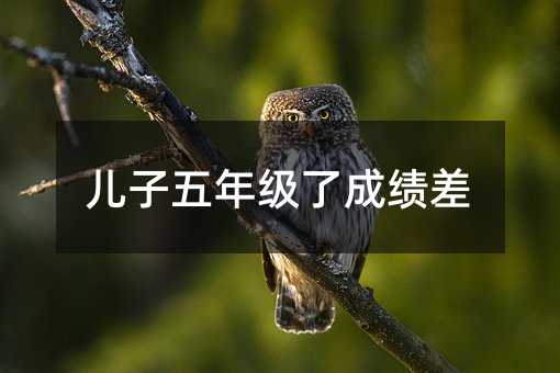 兒子五年級了成績差