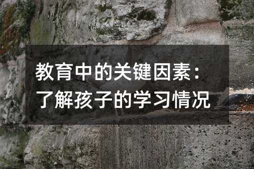 教育中的關鍵因素:了解孩子的學習情況