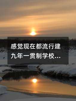 感覺現在都流行建九年一貫制學校了,這是為什么?跟獨立中小學比有什么優劣勢?