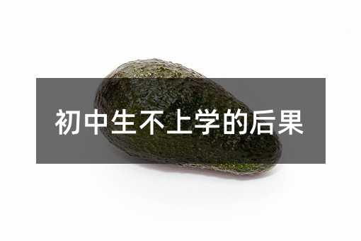 初中生不上學的后果