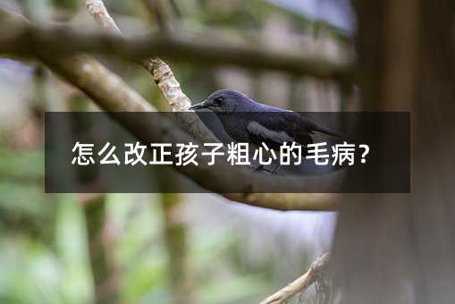 怎么改正孩子粗心的毛病?
