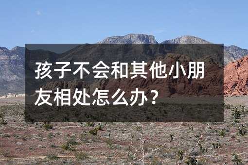 孩子不會和其他小朋友相處怎么辦?