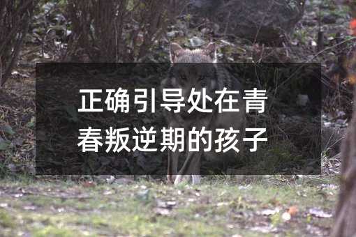 正確引導處在青春叛逆期的孩子
