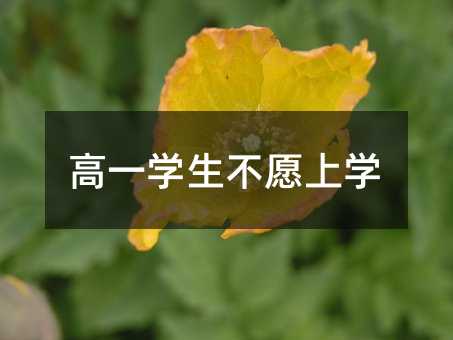 һWԸόW