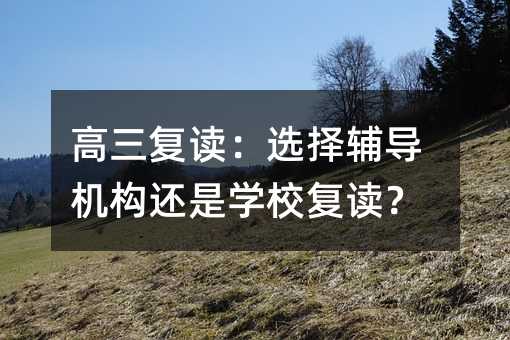 高三復(fù)讀:選擇輔導(dǎo)機(jī)構(gòu)還是學(xué)校復(fù)讀?