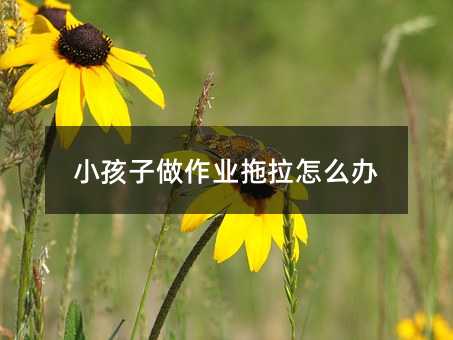 小孩子做作業拖拉怎么辦