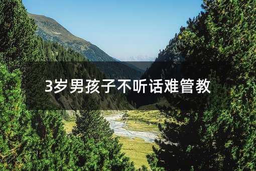 3歲男孩子不聽話難管教