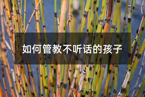 如何管教不聽話的孩子