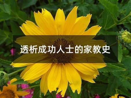 透析成功人士的家教史