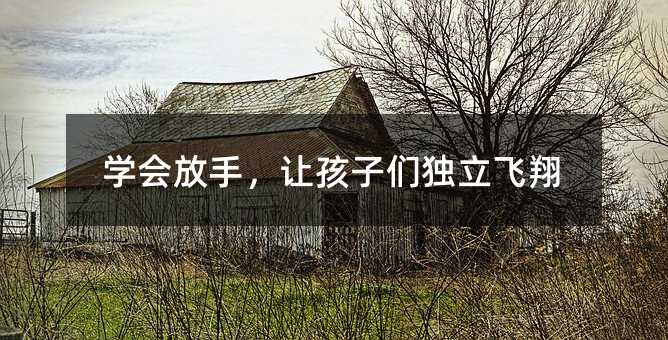 學(xué)會放手,讓孩子們獨(dú)立飛翔
