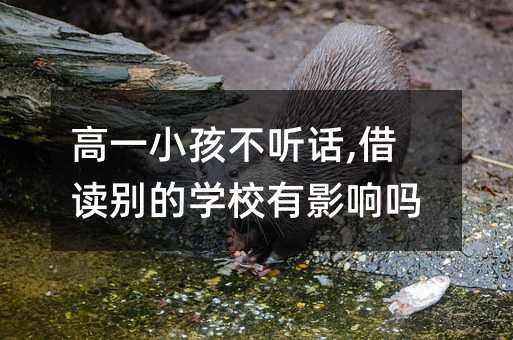 ��һС���� Ԓ,���x�e�ČWУ��Ӱ푆�