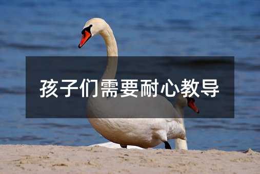 孩子們需要耐心教導