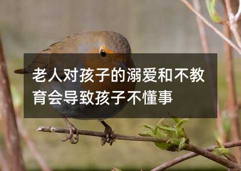 老人對孩子的溺愛和不教育會導致孩子不懂事