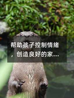 幫助孩子控制情緒,創造良好的家庭環境