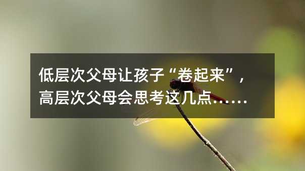 低層次父母讓孩子“卷起來”,高層次父母會思考這幾點(diǎn)……