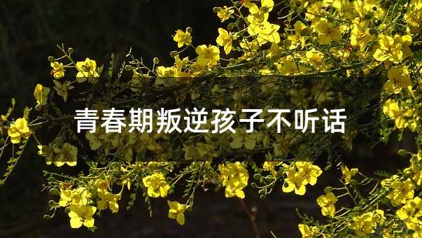 青春期叛逆孩子不聽話