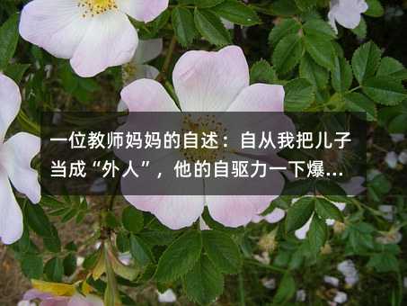 一位教師媽媽的自述:自從我把兒子當成“外人”,他的自驅力一下爆發了