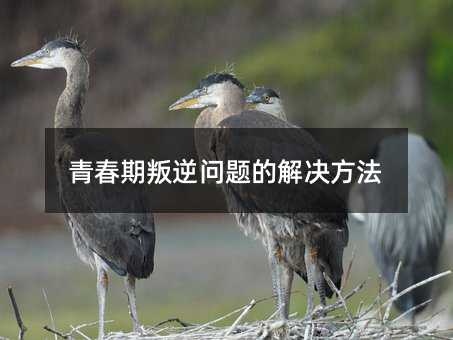 青春期叛逆問題的解決方法