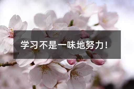 學習不是一味地努力!