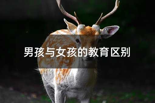 男孩與女孩的教育區(qū)別