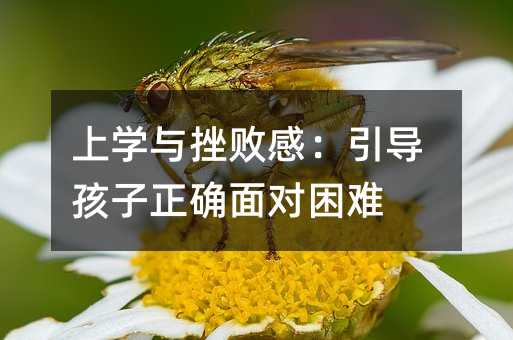όWc씡У_挦y