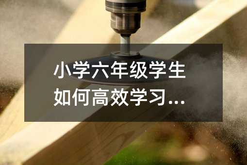 小學六年級學生如何高效學習語文