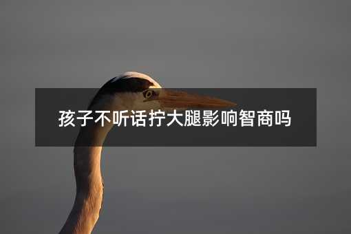 孩子不聽(tīng)話擰大腿影響智商嗎