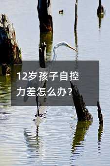 12歲孩子自控力差怎么辦?